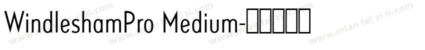 WindleshamPro Medium字体转换
